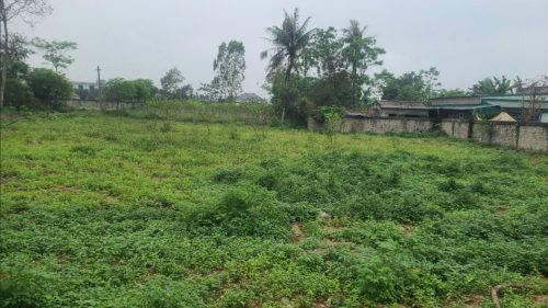 Đất Thổ Cư 1000m2 Cách Mặt Biển 20m